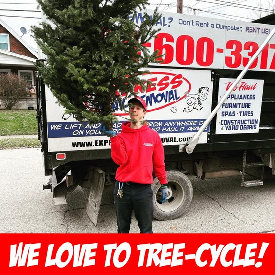 Christmas Tree Recycling - Team member balancing Christmas Tree